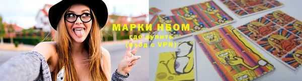 индика Алексин
