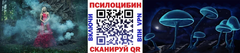 OMG вход  дарк нет клад  Осташков  Псилоцибиновые грибы Psilocybine cubensis  цены наркотик 
