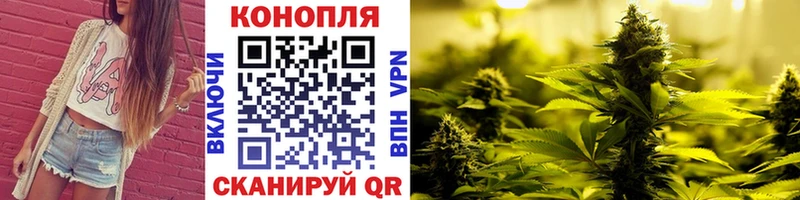omg маркетплейс  Осташков  Шишки марихуана семена 